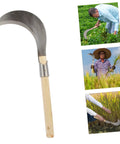 Long Handle Garden Sickle For Weeding And Grass Cutting Manganese Steel Blade With Wooden Handle against white background