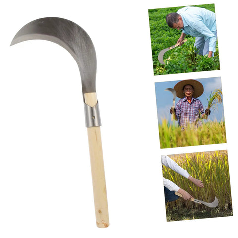 Long Handle Garden Sickle For Weeding And Grass Cutting Manganese Steel Blade With Wooden Handle against white background