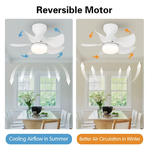 Dual mode showing Dope 24 Inch Flush Mount Ceiling Fan With Light Kit, Remote Control, 5 Blades, Low Profile White Indoor Ceiling Fan, Modern Design, LED light with 3 color temperatures and 5 speed for summer and winter use in a dining room.