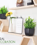 Two Pack Mini Faux Plants In Black Pots For Home Or Office Desk Decor Indoor Low Maintenance No Water Needed Realistic Artificial Plants