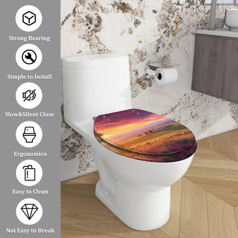 Elongated Slow Close Toilet Seat Farmhouse Style for Bathroom on a white toilet with a sunset design.
