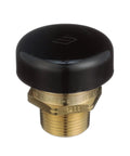 Watts LFN36-M1 vacuum relief valve, brass body with black cap, 3/4 inch