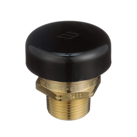 Watts LFN36-M1 vacuum relief valve, brass body with black cap, 3/4 inch