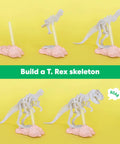 Dinosaurs Fossil Dig Kit For Kids Ages 6 And Up, Real World Science Excavation And Skeleton Assembly, Dig Up Bones, Build A Full Dino Replica With Mini Dinosaurs, Modeling Clay, Plaster, And Geologic Timescale Facts Poster, T. Rex skeleton model