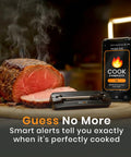 V Prime Wireless Meat Thermometer With 1200F Heat Resistance Unlimited WiFi And Bluetooth Range Smart Digital Probe by cooked meat