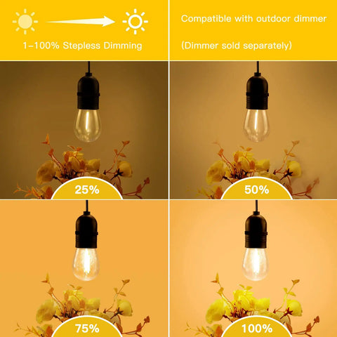 Two 50 Foot Dimmable Edison Style Shatterproof String Lights With 32 LED Bulbs at different brightness levels against flowers.