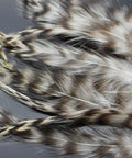 Natural Grizzly Rooster Hackle Feathers For Fly Tying Dope 30 Pcs Set White Yellow Green 10 To 15 Cm Long Realistic Fishing Fly Materials