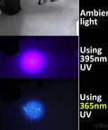 Comparison of ambient light, 395nm UV, and 365nm UV showing fluorescence with V3 365nm Mini Black Light UV Flashlight Dope Portable Powerhouse With 5 Core UV LED Ultra High Definition Pure Ultraviolet Beam Professional Grade Compact Yet Mighty USA Stock.