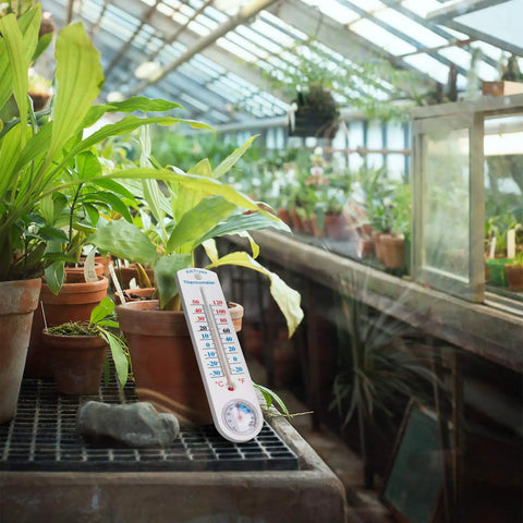 Analog Hygrometer Thermometer For Indoor Outdoor Use No Battery Required Easy To Read Humidity And Temperature Gauge With Celsius Fahrenheit For Patio Garden Cellar Greenhouse Closet in a greenhouse with potted plants.