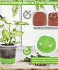 All In One Reusable Seed Starter Kit With 26 Clear 4 Inch Pots Silicone Base And Drainage For Easy Transplant shown with plant and drainage holes