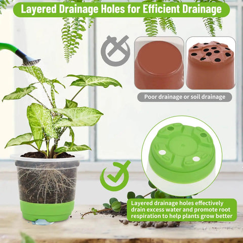 All In One Reusable Seed Starter Kit With 26 Clear 4 Inch Pots Silicone Base And Drainage For Easy Transplant shown with plant and drainage holes