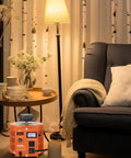 Built Tough 2000VA AC Voltage Regulator Step Up Down Transformer 110V Input in cozy living room setting with lamp and flower vase.