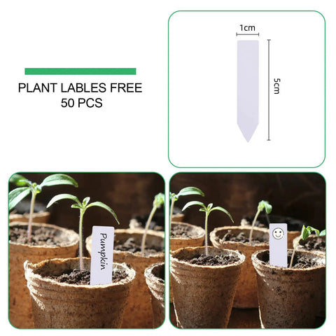 50 Pack Three Point One Five Inch Peat Pots For Seedlings With 50 Plant Labels Biodegradable Nursery Pots For Outdoor Garden Germination And Easy Seed Starter Kit