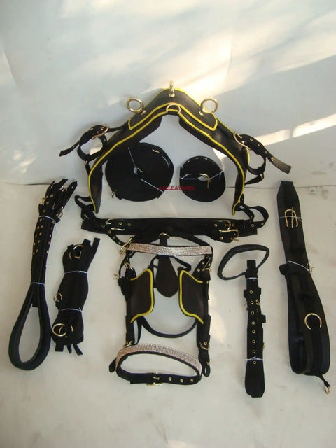 Black Synthetic Nylon Horse Driving Harness With Yellow Piping Diamond Chains On Browband And Noseband Curved Blinders