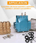 Beefed Up Seal Kit For 66DX And 6DX Pressure Washer Pumps with replacement seals, shown with pump and O-rings on white surface.