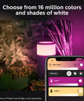 Calla Outdoor Smart Pathway Light With Color Ambiance, Weatherproof 8W Low Voltage LED Walkway Lighting app control display
