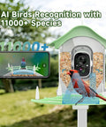 Solar Powered Bird Feeder With Camera 2K HD Video Live Capture, AI Species Identification And Real Time Alerts in use.