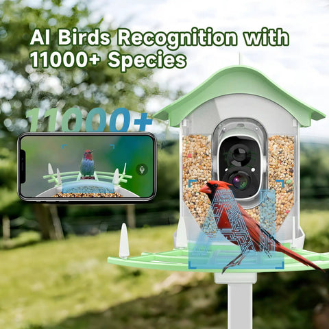 Solar Powered Bird Feeder With Camera 2K HD Video Live Capture, AI Species Identification And Real Time Alerts in use.