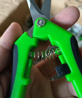 Close-up of green-handled 1 Pack Garden Scissors And Shears 6.4 Inch Steel Pruners For Plants Flowers Weeds Fruit Trees And Vegetables