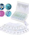 Awesome 30 Prepared Microscope Slides With Specimens For Biology Labs Includes Plants Algae Mammalian Tissues Cells And Insect Parts Perfect For Kids Students And Homeschooling displayed with open slide box and detailed specimen images