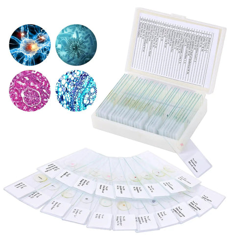 Awesome 30 Prepared Microscope Slides With Specimens For Biology Labs Includes Plants Algae Mammalian Tissues Cells And Insect Parts Perfect For Kids Students And Homeschooling displayed with open slide box and detailed specimen images