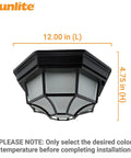 Slick 12 Inch LED Octagonal Outdoor Wall Or Ceiling Flush Mount Light with Black Cast Aluminum and Frosted Glass