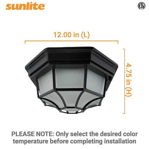 Slick 12 Inch LED Octagonal Outdoor Wall Or Ceiling Flush Mount Light with Black Cast Aluminum and Frosted Glass