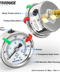 Stainless Steel Dry Pressure Gauge 0-300 Psi With 2 Inch Dial Quarter Inch NPT Center Back Mount, transparent glass cover, silicone oil plug.