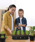 Family with 2.4 Inch Square Seedling Pots With Drain Holes, 80 Pcs Plus 5 Seed Starter Trays, Propagation Kit For Seedlings
