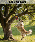 Dog jumping towards toy attached to tree using Heavy Duty Rustproof Stainless Steel Dog Tie Out Shock Absorber Spring Absorbs Sudden Yanks And Pulls To Protect Your Arm And Pup From Strain On Cables Chains Runs And Leash Setups.