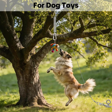Dog jumping towards toy attached to tree using Heavy Duty Rustproof Stainless Steel Dog Tie Out Shock Absorber Spring Absorbs Sudden Yanks And Pulls To Protect Your Arm And Pup From Strain On Cables Chains Runs And Leash Setups.
