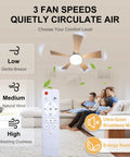 Small Ceiling Fan With Light And Remote 20.5 Inch 2 In 1 Fixture in living room, showing remote control and fan speed options