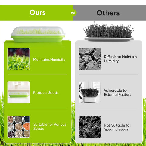 Six Pack Green Seed Sprouter Trays With Lids For Soil Free Germination Of Microgreens Sprouts And Wheatgrass At Home Indoors Or Outdoors Includes Planting Paper And Labels