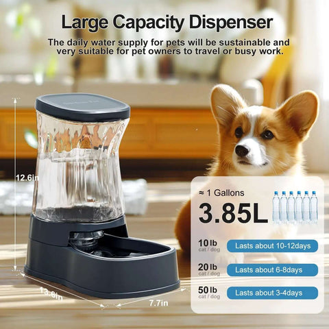 Automatic Pet Water Dispenser Gravity Fed Stainless Steel Bowl 1 Gallon Large Capacity Waterer with Corgi