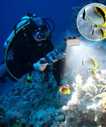 Diver using Ultra Bright Waterproof Dimmable Underwater LED Light For GoPro Hero And DJI Osmo Action, 147ft Depth with coral and fish