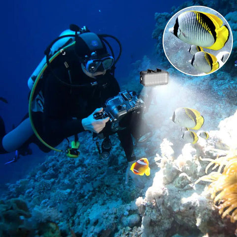 Diver using Ultra Bright Waterproof Dimmable Underwater LED Light For GoPro Hero And DJI Osmo Action, 147ft Depth with coral and fish