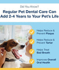 PlaqueOff Dental Care Seaweed Formula For Dogs And Cats Natural Tartar Control And Breath Freshening Supports Healthy Mouth And Gums 60g Easy Daily Dose No Fuss Oral Hygiene For Pets benefits and a dog with owner