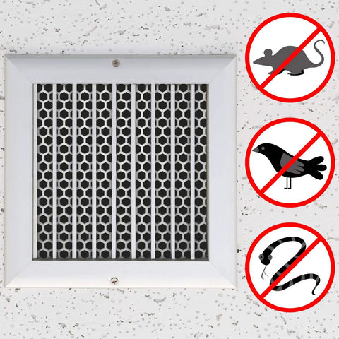 Customizable Aluminum Dryer Vent Screen With Bird Guards Mesh 3 Inch To 8 Inch Outdoor Vents 2 Pack on wall
