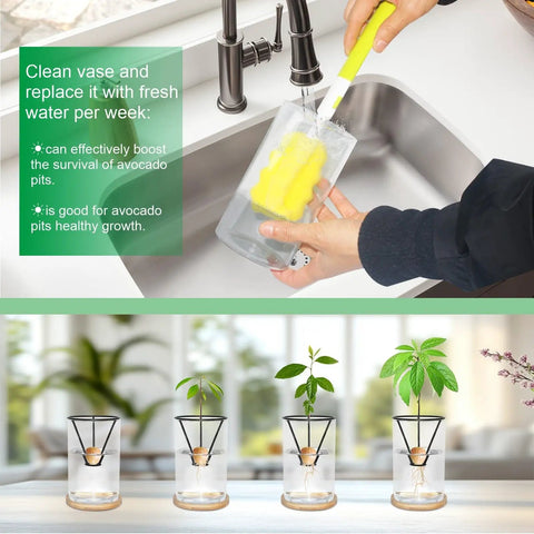 All-In-One Avocado Seed Starter Kit With Glass Vase, Bamboo Base, Rustproof Metal Stand, Cleaning Brush And Decorative Avocado Ornament No Seed Included, Easy Germination In 1 To 2 Months, Totally Giftable For Plant Lovers On Your Desk Or Home Garden