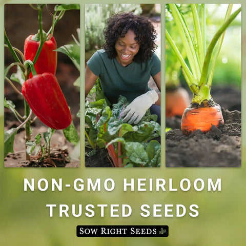 Images of red peppers, a woman gardening, and carrots representing Non-GMO Heirloom Trusted Seeds by Sow Right Seeds.