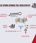 6.0 Powerstroke Blue Spring Fuel Pressure Kit Upgrade for Ford F-Series Trucks 2003 2004 2005 2006 2007 components displayed