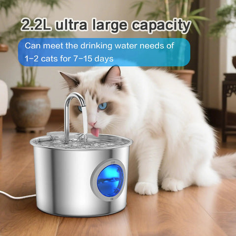 Cat drinking from No Brainer Cat Water Fountain In Premium 304 Stainless Steel With 2.2L Detachable Tank Easy To Clean Automatic Pet Fountain Quiet Indoor Dispenser Cats Will Actually Love For Indoor Cats And Small Dogs