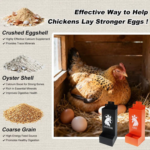 Hella Durable Metal Chicken Grit And Oyster Shell Feeder Built With Smooth Hanging Gravity Setup To Skip The Sweeping Hassle While Boosting Flock Nutrition And Getting Your Backyard Girls To Lay Eggs Daily with chicken and eggs