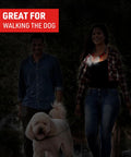 Person wearing Rechargeable Hands Free Neck Light With 9 Hour Run Time, Four Modes, USB Cord Included, Water Resistant, walking dog.
