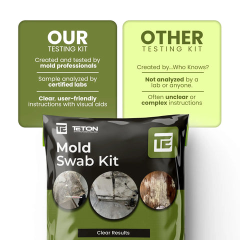 Mold Test Kit With Lab Fees Included No Surprises For Home Use Detects 20 Plus Mold Types And Pollen Easy To Follow Guide Professional Grade Indoor Mold Testing One Pack packaging with swab images.