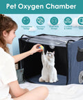 Woman playing with cat inside large transparent folding Must Have Pet Nebulizer Box for Dogs and Cats, dual access holes visible