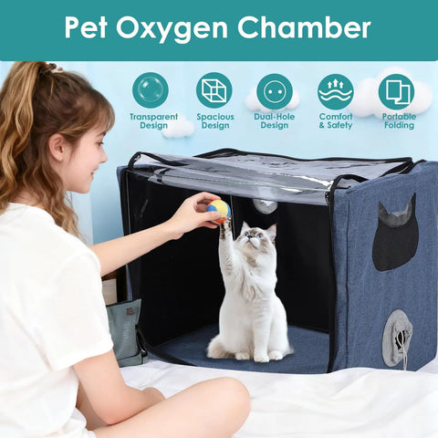 Woman playing with cat inside large transparent folding Must Have Pet Nebulizer Box for Dogs and Cats, dual access holes visible