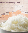 White rice in bowl with cooking process diagram, related to No Fuss 10 Cup Rice Cooker With 24 Hour Keep Warm And Nonstick Ceramic Inner Pot
