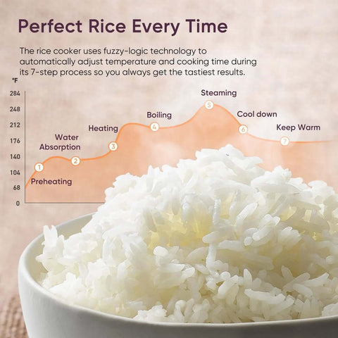 White rice in bowl with cooking process diagram, related to No Fuss 10 Cup Rice Cooker With 24 Hour Keep Warm And Nonstick Ceramic Inner Pot