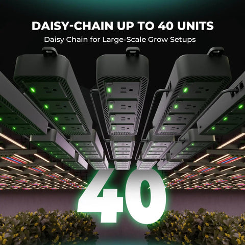 Four Outlet Smart Automation Expansion Module For Indoor Grow Rooms That Plugs Straight Into Your Climate Controller And Gives You Dope Extra Power Ports For Every Setup, showcasing daisy-chained units in grow room.